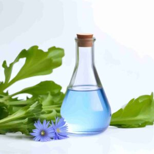 Chicory Extract O.S.