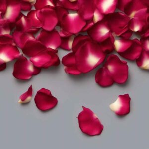 Rose Petals