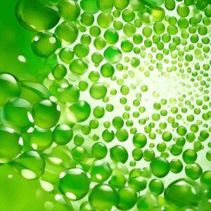 Green Bursting Beeds
