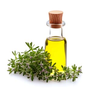 Thyme Oil