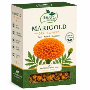 Marigold Flower