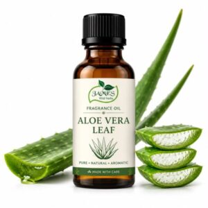 Aloe Vera Leaf W.S.