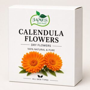Calendula Flower