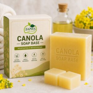 Canola Soap Base
