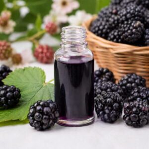 BlackBerry Fragrance Oil