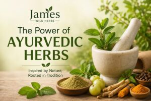 Read more about the article The Importance of Ayurvedic Herbs: Embracing a Natural Lifestyle