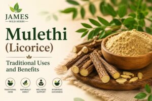 Read more about the article Mulethi (Licorice): Traditional Uses and Benefits