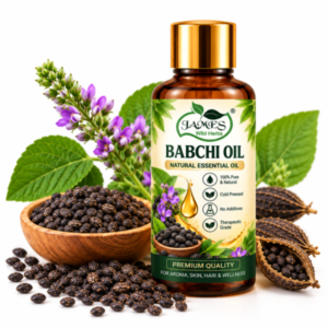 Babchi Oil